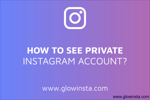 How to See Private Instagram? (Tips to Make Yours Safer)