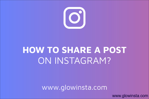 How to Share a Post on Instagram? (Tips to Make a Great One)