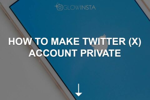 How To Make Twitter (X) Account Private 