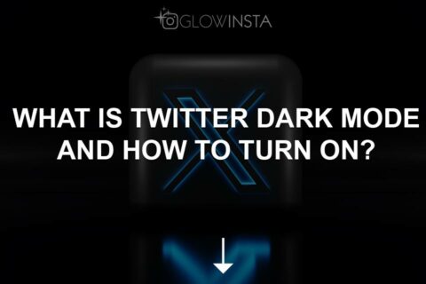 What Is Twitter Dark Mode and How to Turn On? 