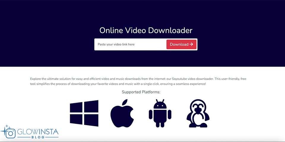  Step-by-Step Tutorial for Downloading MP3/MP4 Videos