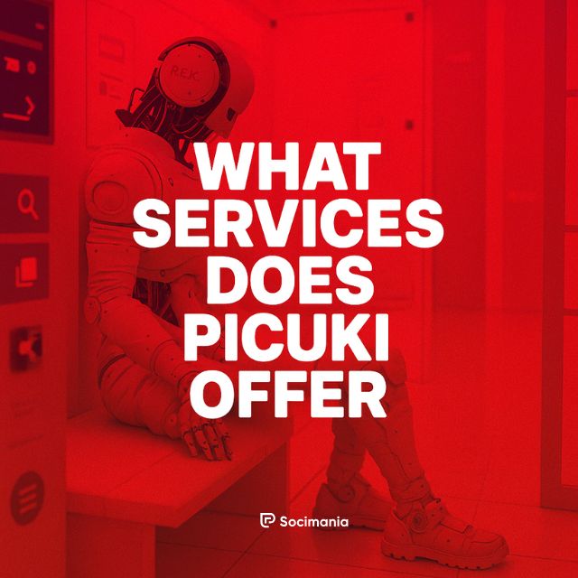 What Services Does Picuki Offer